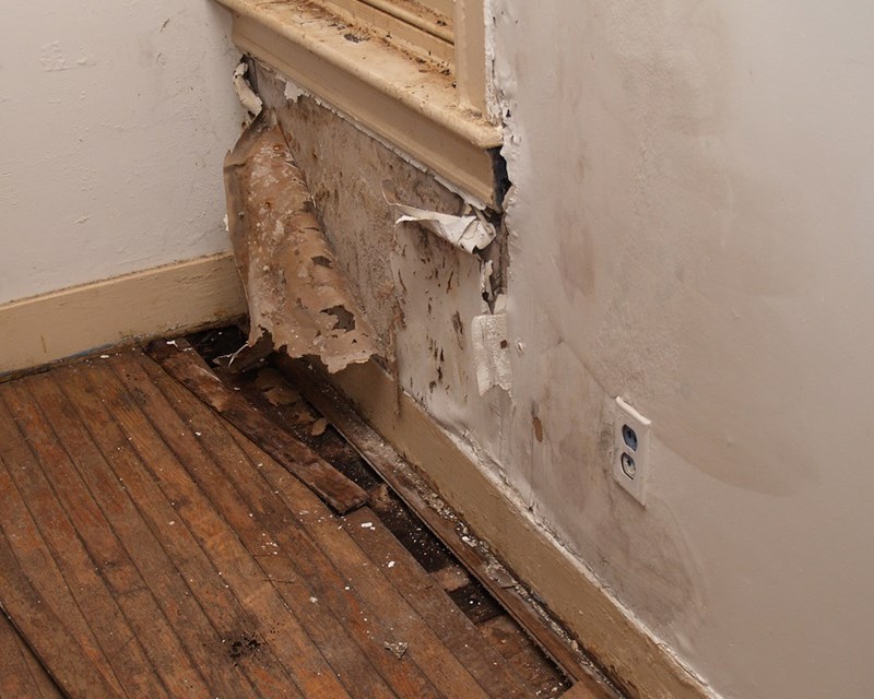 Signs of Water Damage and the Restoration Process: A Guide for Homeowners